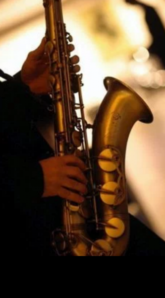 Saxophoniste saint tropez var 83 paca pour mariage soirée privée animation live par un saxophoniste pour animation vien d'honneur a saint tropez ramatuel saint maxim vin d'honneur 